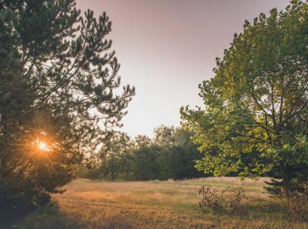 Západ slunce  | Prodej - pozemek, ostatní, 121 799 m²