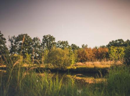 Vodní plochy | Prodej - pozemek, ostatní, 121 799 m²