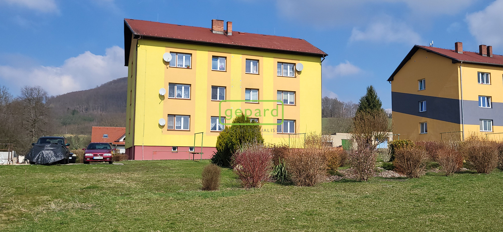 20250327-115245.jpg