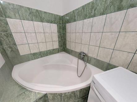 byt-v-prirode-na-ceskolipsku-03302025-211036-defurnished.jpg | Prodej bytu, 3+1, 79 m²