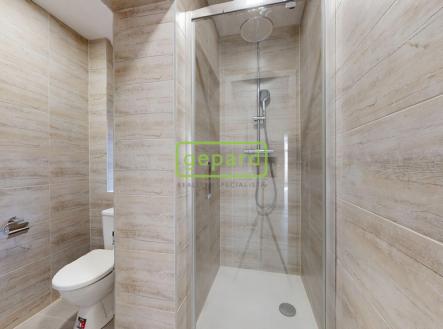 investicni-prilezitost-v-podobe-cihloveho-bytu-po-celkove-rekonstrukci-v-centru-usti-nad-labem-04022025-171627.jpg | Prodej bytu, 2+kk, 54 m²