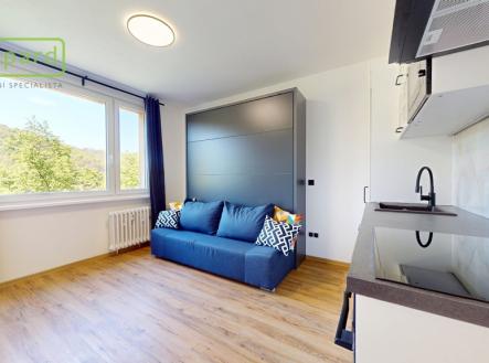 mensi-byt-po-kompletni-exkluzivni-rekonstrukci-v-usti-nad-labem-05022026-215313.jpg | Prodej bytu, 1+kk, 20 m²