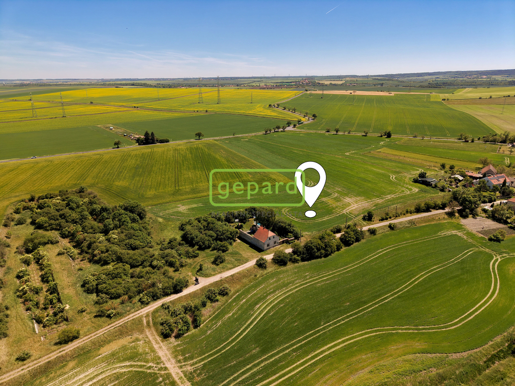 dji-20260529125921-0145-d-v.jpg