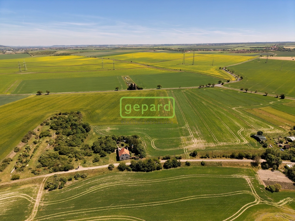 dji-20260529125939-0146-d.jpg