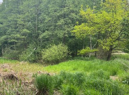 stud 5 | Prodej - pozemek, les, 8 015 m²