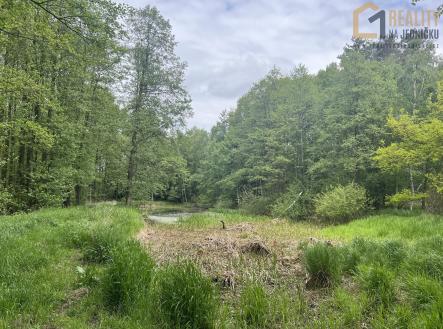 Stud | Prodej - pozemek, les, 8 015 m²