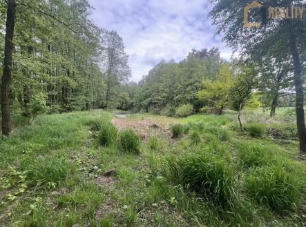 stud2 | Prodej - pozemek, les, 8 015 m²