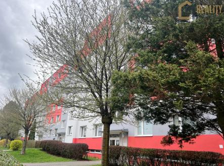 VO12 | Pronájem bytu, 3+1, 78 m²