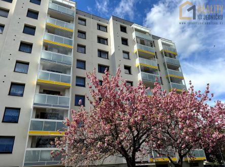 R1 | Prodej bytu, 3+1, 77 m²
