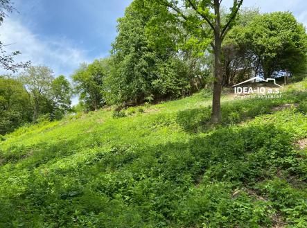 Bez popisku | Prodej - pozemek, zahrada, 886 m²