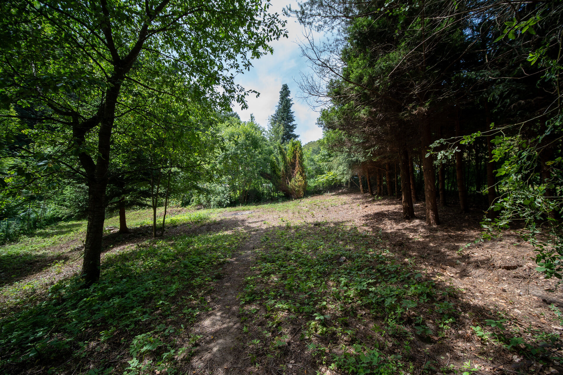 Zahrada pod Ještědem- klidné útočiště v přírodě