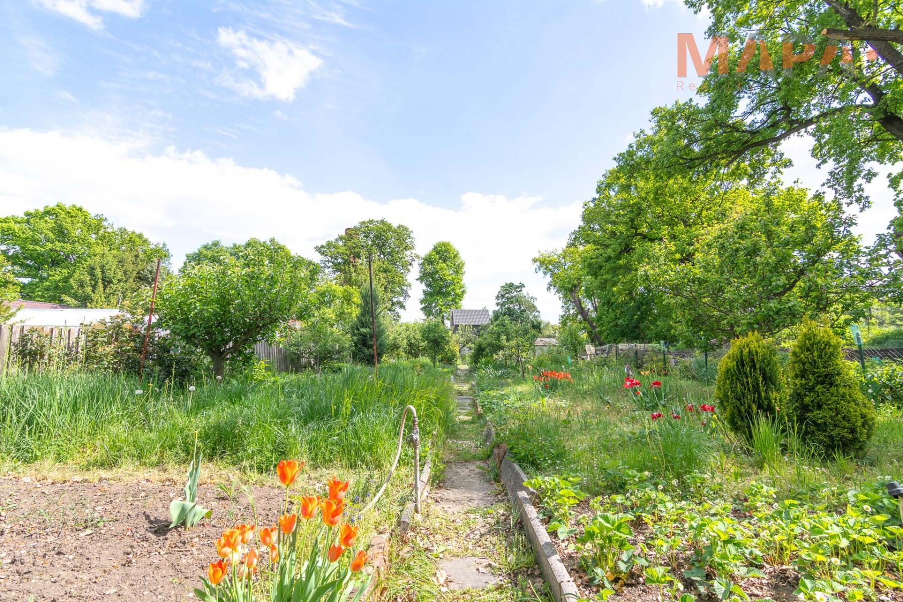 Zahrada Jirkov (9).jpg