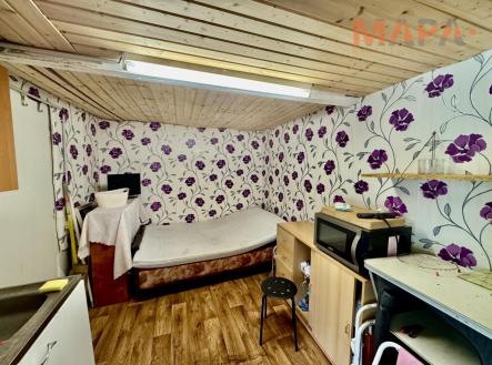 IMG_6138 2.jpg | Prodej - pozemek, zahrada, 389 m²