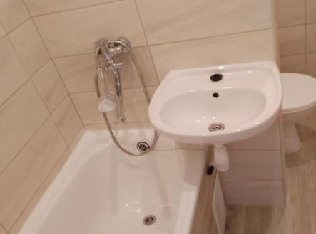 IMG_20251205_100135_703.jpg | Pronájem bytu, 1+1, 38 m²