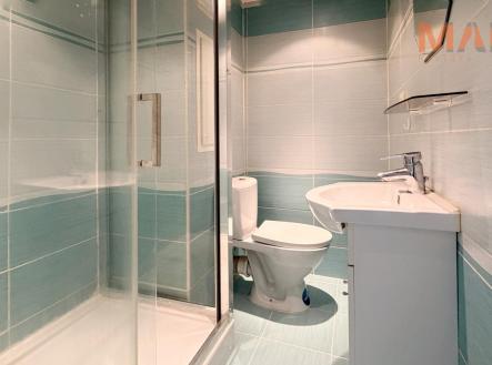 Snapseed 26.jpeg | Pronájem bytu, 1+1, 35 m²