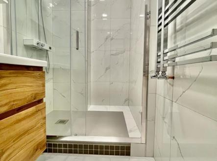bathroom1.JPG | Pronájem bytu, 3+1, 78,9 m²