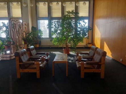 Pronájem - kanceláře, 20 m²