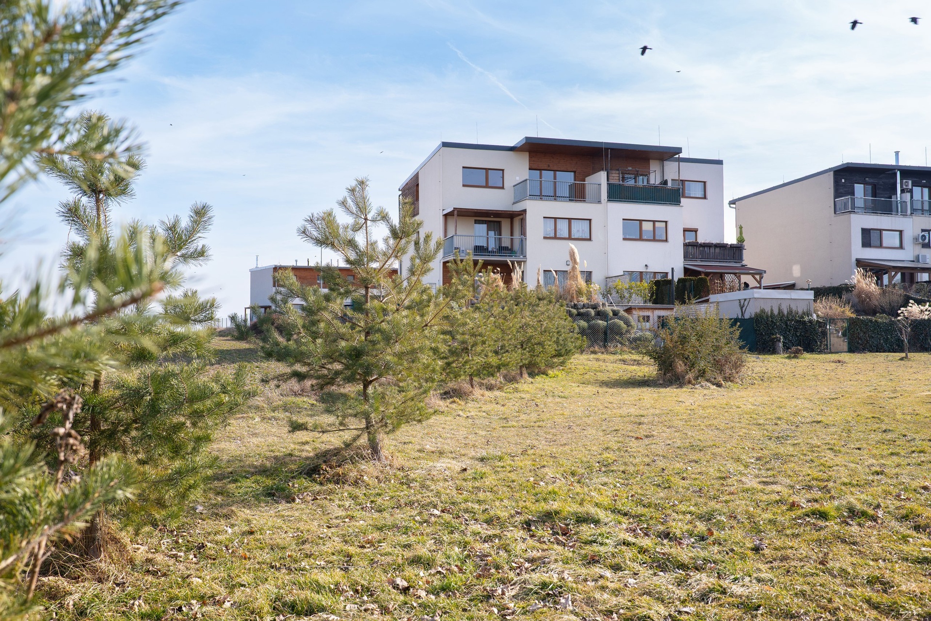 Pohled na dům z parku