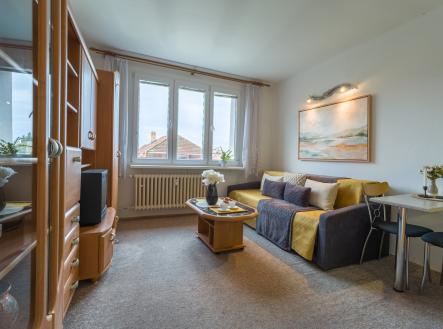 Pronájem bytu, 1+kk, 22 m² obrázek