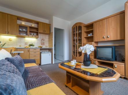 Obývací pokoj od okna | Pronájem bytu, 1+kk, 22 m²