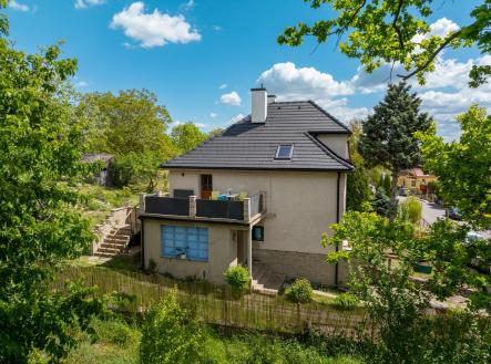 Pohled na dům od parku | Prodej - dům/vila, 124 m²