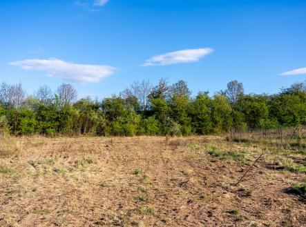 Pohled na pozemek ze západu | Prodej - pozemek pro bydlení, 1 605 m²