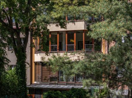 Pohled na okna bytu z vnitrobloku přes koruny stromů | Prodej bytu, 3+kk, 101 m²