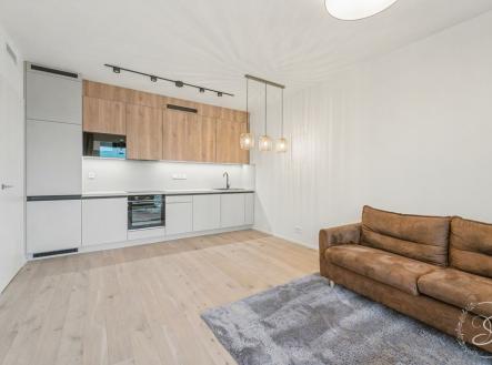 1765525773-enpsjvetbp-img-0058.jpg | Pronájem bytu, 2+kk, 69 m²