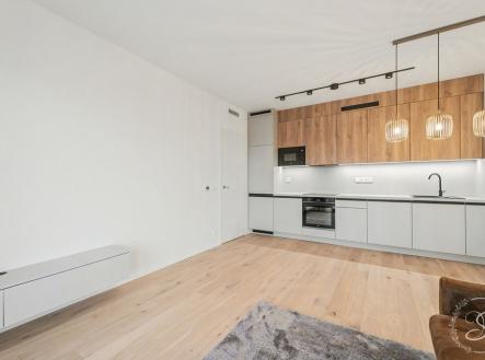 1765525772-podiueilsn-img-0063.jpg | Pronájem bytu, 2+kk, 69 m²