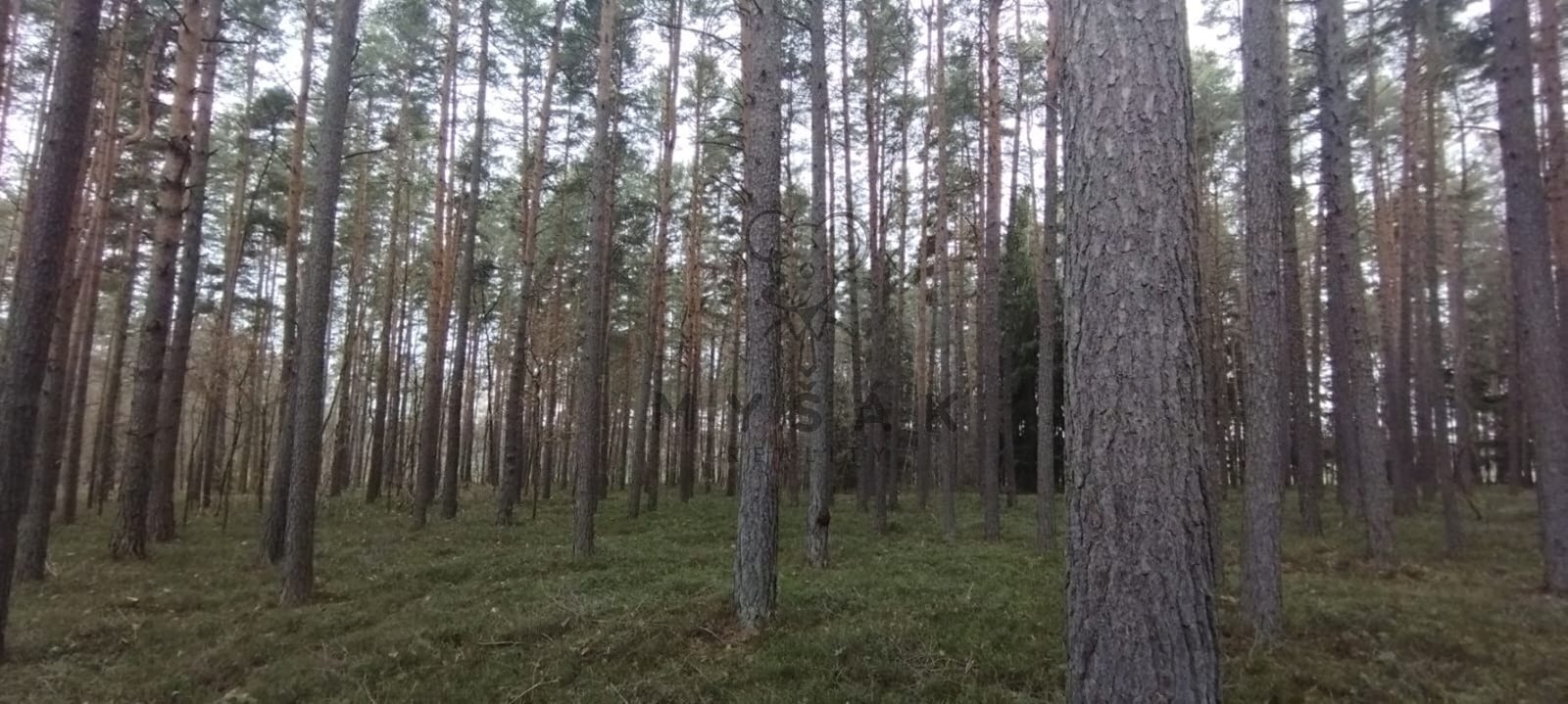 foto: 1