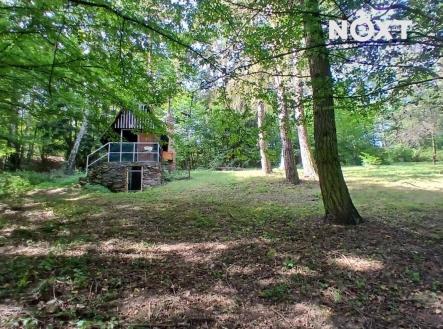 Prodej - pozemek, les, 1 228 m²