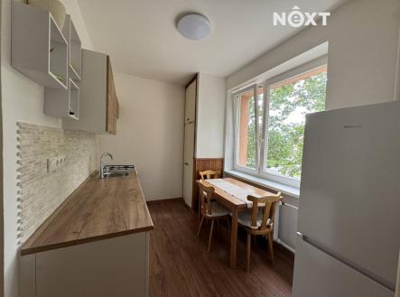 Pronájem bytu, 2+1, 55 m²