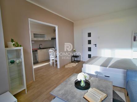 IMG_8890 | Pronájem bytu, 1+1, 42 m²