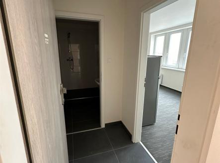 . | Pronájem bytu, 1+kk, 26 m²