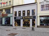 Pronájem - obchodní prostor, 580 m²