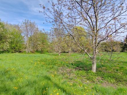 Prodej - pozemek pro bydlení, 1 837 m² obrázek