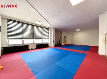 Pronájem - jiné, 187 m² obrázek