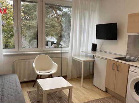 img-e3751.jpg | Pronájem bytu, 1+kk, 20 m²