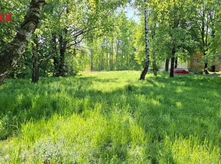 Prodej - pozemek pro bydlení, 46 126 m² obrázek