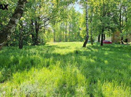 1.jpg | Prodej - pozemek pro bydlení, 46 126 m²