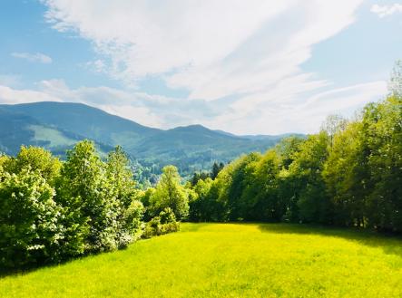 dji-20250514165906-0082-d.jpg | Prodej - pozemek pro bydlení, 8 947 m²