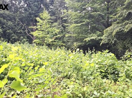 zahrada | Prodej - pozemek, zahrada, 462 m²