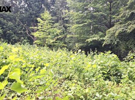 zahrada | Prodej - pozemek, zahrada, 462 m²