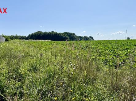 Prodej - pozemek pro bydlení, 1 238 m² obrázek