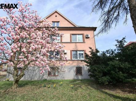 5-dum-okna.jpg | Pronájem - kanceláře, 25 m²