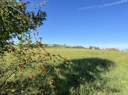 img-5400.jpg | Prodej - pozemek pro bydlení, 1 541 m²