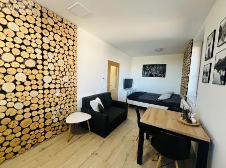 img-2146-2.jpg | Pronájem bytu, 1+kk, 39 m²