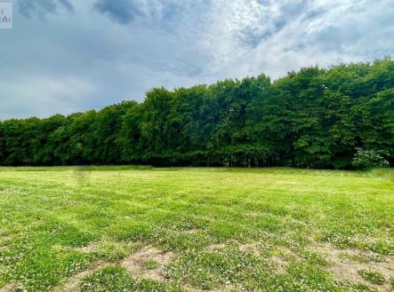 aade901f-d35f-4935-befe-9556fa0d14f4.jpeg | Prodej - pozemek pro bydlení, 2 292 m²