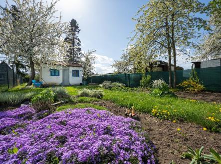 Z71_6438 | Prodej - pozemek, zahrada, 956 m²