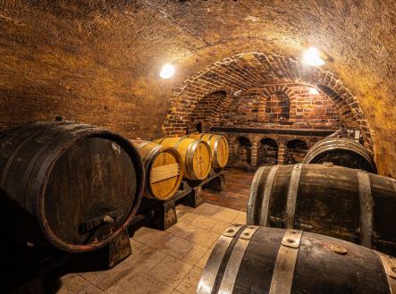 IMG_5787 | Prodej - zemědělský objekt, 1 258 m²